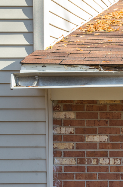 gutter cleaning image